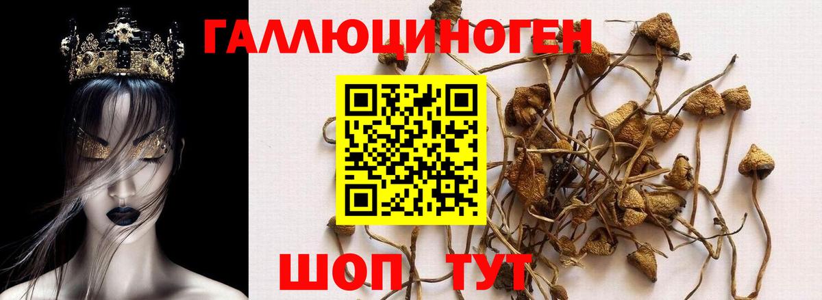 Донецк  Псилоцибиновые грибы ЛСД  где купить наркотик  Вход с VPN 